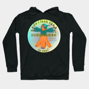 Do I look like a hummingbird to you? Hoodie